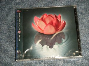 画像1:  サディスティック・ミカ・バンド SADISTIC MIKA BAND - NARKISSOS (通常盤) (SEALED) / 2007 JAPAN "Brand New Sealed CD with OBI