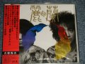 麗蘭 Lay-Run  - 麗蘭 (SEALED) / 2004 JAPAN "Brand New Sealed" CD  with OBI