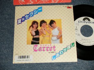 画像1: キャロット CARROT - A) 夏はセクシー   B) しあわせ探し  (Ex++/MINT SWOFC) / 1986 JAPAN ORIGINAL "WHITE LABEL PROMO" Used 7" Single シングル