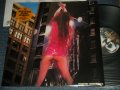 シーナ＆ザ・ロケッツ　SHEENA & THE ROKKETS - ROCK THE ROCK (new)  / 2000 JAPAN ORIGINAL "BRAND NEW" LP