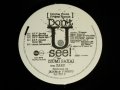 Double Front Project Remix  Feat. Izumi Sakai - Don't U See(MINT-/MINT-) / 1997 JAPAN ORIGINAL Used 12"