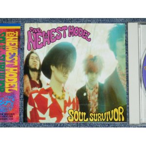 画像: ニューエスト・モデル  THE NEWEST MODEL  - ソウル・サバイバー  SOUL SURVIVOR / 1989 JAPAN ORIGINAL Promo  CD With OBI