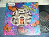 画像: デキシード・ザ・エモンズ, Dexy Do Zaemons -  Berry，Berry Bo，hho / 1998 JAPAN ORIGINAL Used LP