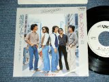 画像: トランザムTRANZAM - 愛しのモニカ ITOSHINO MONICA. / 1979 JAPAN ORIGINAL WHITE LABEL PROMO Used 7" Single 