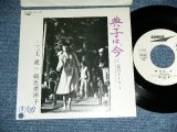 画像: 三上　寛 KAN MIKAMI - 典子、今　〜愛のテーマ〜NORIKO WA IMA / 1981 JAPAN ORIGINAL White Label PROMO  7" Single 