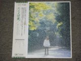 画像: はしだのりひこ NORIHIKO HASHIDA - たとえば光 TATOEBA HIKARI / 1970's  JAPAN ORIGINAL WHITE Label PROMO  Used LP With OBI 