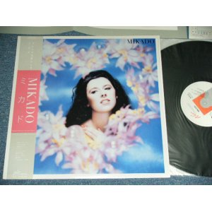 画像: ミカド MIKADO ( 細野晴臣 HARUOMI HOSONO ) - ミカド MIKADO  / 1984 JAPAN ORIGINAL PROMO Used LP With OBI & Outer SHRINK WRAP 