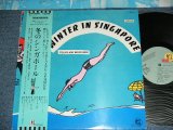 画像: 東京キッド・ブラザーズ TOKYO KID BROTHERS - 冬のシンガポール WINETER IN SINGAPORE (Ex++?MINT- )  / 1970's JAPAN ORIGINAL Used  LP With OBI 