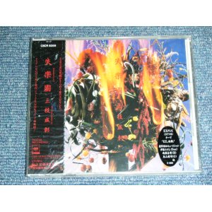 画像: 三枝成彰 SHIGEAKI SAEGUSA - 失楽園 SHITSURAKUEN / 1991 JAPAN ORIGINAL PROMO  Brand New SEALED CD