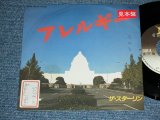 画像: ザ・スターリン The STALIN - アレルギー ( Ex++/MINT- )  / 1982 JAPAN ORIGINAL PROMO Used 7"45 rpm Single