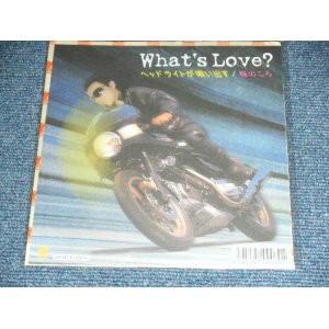 画像: WHAT'S LOVE - ヘッドライトが唄い出す　：　桜の頃 / 2002 JAPAN ORIGINAL  Brand New DEAD STOCK 7"45 rpm Single from INDIES 