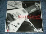 画像: WHAT'S LOVE - トラック・ドライヴィング・ブギ ：　鈍色の街 / 2002 JAPAN ORIGINAL  Brand New DEAD STOCK 7"45 rpm Single from INDIES 