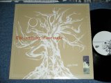 画像: V.A. OMNIBUS - The INVITABLE OF OUR MUSIC   (Ex+++/MINT- )/ 1990's  JAPAN ORIGINAL  Used LP  