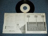 画像:  山下達郎 TATSURO YAMASHITA - LOVELAND ISLAND ( Ex-/Ex+ ) / 1981 JAPAN ORIGINAL "PROMO ONLY" Used 7" Single