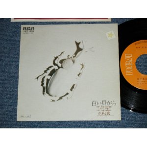 画像: かぶと虫　KABUTO MUSHI - 白い貝がら ( Ex+++/Ex+++ )  / 1975 JAPAN ORIGINAL Used 7" シングル Single 