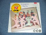 画像: C-C-B - ないものねだりの I WANT YOU ( SEALED) / 1987 JAPAN ORIGINAL"PROMO" "BRAND NEW SEALED" 12" inch 