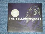 画像: イエロー・モンキー THE YELLOW MONKEY - 楽園( PROMO ONLY) ( MINT-/MINT)  / 1996 JAPAN ORIGINAL "PROMO ONLY" Used  3" CD Single 