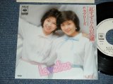 画像: ラブリーズ LOVELIES  -  紅すずらんの伝説 (Ex+++/MINT-)  / 1978  JAPAN ORIGINAL  "WHITE LABEL PROMO"  Used 7" Single 