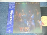 画像: 野獣 NOKEMONO - 地獄の叫び　FROM THE BLACK WORLD  (MINT-/MINT-）/ 1979  JAPAN ORIGINAL Used LP with OBI 