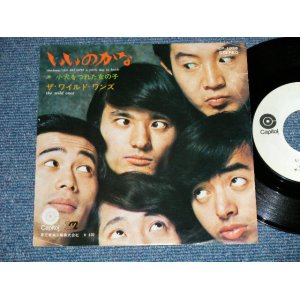 画像: ザ・ワイルド・ワンズ　THE WILD ONES - いいのかな ( Ex/Ex+++) / JAPAN ORIGINAL Used "WHITE LABEL PROMO" Used 7" Single 