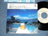 画像: ドラフターズ DRAFTERS - 夏のハッシャバイ SUMMER TIME HUSH-A-BY : 湯川れい子⁺井上大輔 ( MINT-/MINT-)  / 1981  JAPAN ORIGINAL Used  7" Single 