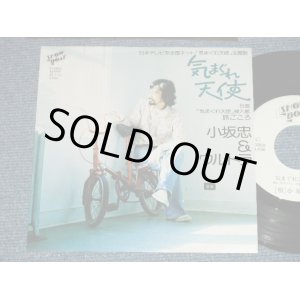 画像: 小坂　忠 CHU KOSAKA - 気まぐれ天使( Ex+++/MINT- Looks:Ex+++ )  / 1970's JAPAN ORIGINAL "WHITE LABEL PROMO" Used 7" シングル