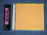 画像: 生福 SHOW-FOOK - 　内容の無い音楽会 THE MEANINGLESS CONCERT  ( Ex/MINT)  / 1988 JAPAN ORIGINAL  1st Issue "PROMO" Used CD 