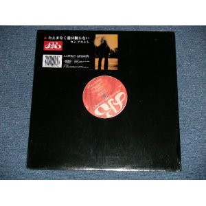 画像: カン・アキトシ KAN AKITOSHI  - たえまなく愛は眠らない( MINT/MINT-) / 1998 JAPAN ORIGINAL Used 12" Single 