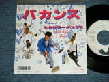 画像: ヒルビリー・バップス HILLBILLY HILL BILLY BOPS -   バカンス VACANCED( MINT-/MINT) / 1986 JAPAN ORIGINAL "WHITE LABEL RPOMO"  Used 7" Single 