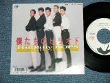 画像: ヒルビリー・バップス HILLBILLY HILL BILLY BOPS -  僕たちのピリオド　BIKUTACHI NO PIRIOD  (  Ex+++/Ex++ Looks:Ex+) / 1987 JAPAN ORIGINAL "WHITE LABEL PROMO"  Used 7" SingleみんＴ－・みんＴ