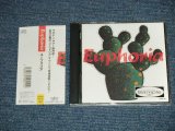 画像: EUPHORIA  ユーフォリア - EUPHORIA  ユーフォリア  ( MINT-/MINT )  / 1989  JAPAN ORIGINAL "PROMO" Used CD with OBI 