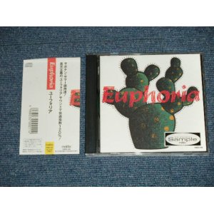 画像: EUPHORIA  ユーフォリア - EUPHORIA  ユーフォリア  ( MINT-/MINT )  / 1989  JAPAN ORIGINAL "PROMO" Used CD with OBI 