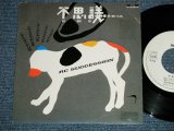 画像: ＲＣサクセション THE RC SUCCESSION - 不思議 FUSHIGI  ( Ex+/MINT-  )  / 1984 JAPAN ORIGINA ""WHITE LABEL RPOMO" Used 7"Single