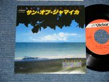 画像: トランザムTRANZAM - サン・オブ・ジャマイカ SUN OF JAMAICA (Cover Song by GOOMBAY DANCE BAND)  ( MINT-/MINT-). / 1980 JAPAN ORIGINAL Used 7" Single 