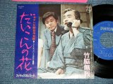 画像: 竹脇無我 MUGA TAKEWAKI - だいこんの花(Ex+++/MINT-)   / 1974 Version JAPAN REISSUE Used 7" Single 