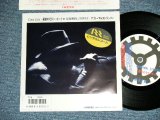 画像: ABNOMAL STRIPPER アブノーマル・ストリッパー- CRAZY LAZY   (Ex/MINT-  : STOFC) / 19８０'s  JAPAN ORIGINAL　Used 7" Single 