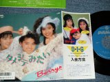 画像: ベリーズ BERRYS - タメシテみたい( MINT/MINT)  / 1986 JAPAN ORIGINAL  Used 7" Single 