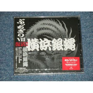 画像: 横浜銀蝿 TYOKOHAMA GINBAE -　ぶっちぎりVII (SEALED) I / 1998 JAPAN ORIGINAL "BRAND NEW SEALED" CD