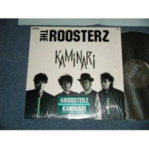 ルースターズ The ROOSTERS ROOSTERZ + SOLO - パラダイス・レコード