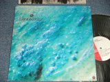 画像: ルースターズ The ROOSTERZ - PHY　(Ex+++/.MINT)　 / 1984 JAPAN ORIGINAL "PROMO" Used LP