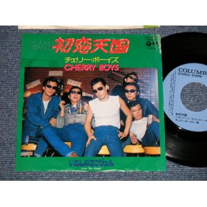 画像: チェリー・ボーイズ CHERRY BOYS - 初恋天国  ( Ex/みんＴ－ WOFC, SPRAY MISTED  ) / 1976 JAPAN ORIGINAL "PROMO" Used 7"  Single 