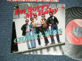 画像: チェリー・ボーイズ CHERRY BOYS -  アイム・ソーリー・マイ・ベイビー I'M SORRY MY BABY  ( Ex+++/MINT- SWOBC ) / 1985JAPAN ORIGINAL "PROMO" Used 7"  Single 