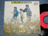 画像: 青い三角定規 BLUE TRIANGLE - 夏に来た娘 NATSU NI KITA MUSUME (Ex++/MINT-)  /  1972 JAPAN ORIGINAL  Used 7"  Single 