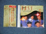 画像: パープル・シャドウズ PURPLE SHADOWS -   NEW BEST  (MINT-/MINT) / 1993 JAPAN Used CD  with OBI    