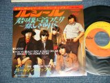 画像: ザ・ゴールデン・カップス THE GOLDEN CUPS - ルシール LUCILLE( MINT-/MINT-)  / 1960's JAPAN ORIGINAL  Used   7" Single  