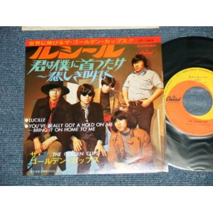 画像: ザ・ゴールデン・カップス THE GOLDEN CUPS - ルシール LUCILLE( MINT-/MINT-)  / 1960's JAPAN ORIGINAL  Used   7" Single  