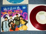 画像: ザ・ゴールデン・カップス THE GOLDEN CUPS -  過ぎ去りし恋 GOODBYE, MY LOVE ( Ex+++/Ex+++)  / 1960's JAPAN ORIGINAL "WHITE LABEL PROMO"  "RED WAX Vinyl" Used   7" Single  