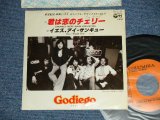 画像: ゴダイゴ GODIEGO - 君は恋のチェリー CHERRIES WERE MADE FOR EATING イエス、アイ・サンキュー YES, I THANK YOU  (Ex++/Ex++ WOFC, SPRAY MYSTED )  / 1977 JAPAN ORIGINAL "PROMO"  Used 7" 45 rpm Single 