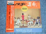 画像:  寺内タケシとバニーズ TAKESHI 'TERRY' TERAUCHI & BNNNYS - レッツ・ゴー運命 LET'S GO CLASSICS  (SEALED)  /  2006 JAPAN 紙ジャケ "Mini-LP Paper-Sleeve 紙ジャケ"  "BRAND NEW FACTORY SEALED未開封新品"  CD