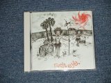 画像:  v.a. Omnibus - FIsh eye : F. MUSIC LABORATORY (在仙のバンドのコンピ）( MINT-MINT )   / 1980's  JAPAN ORIGINAL Used CD